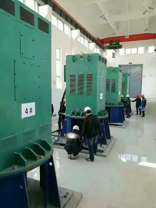 红坪镇某污水处理厂使用我厂的立式高压电机安装现场